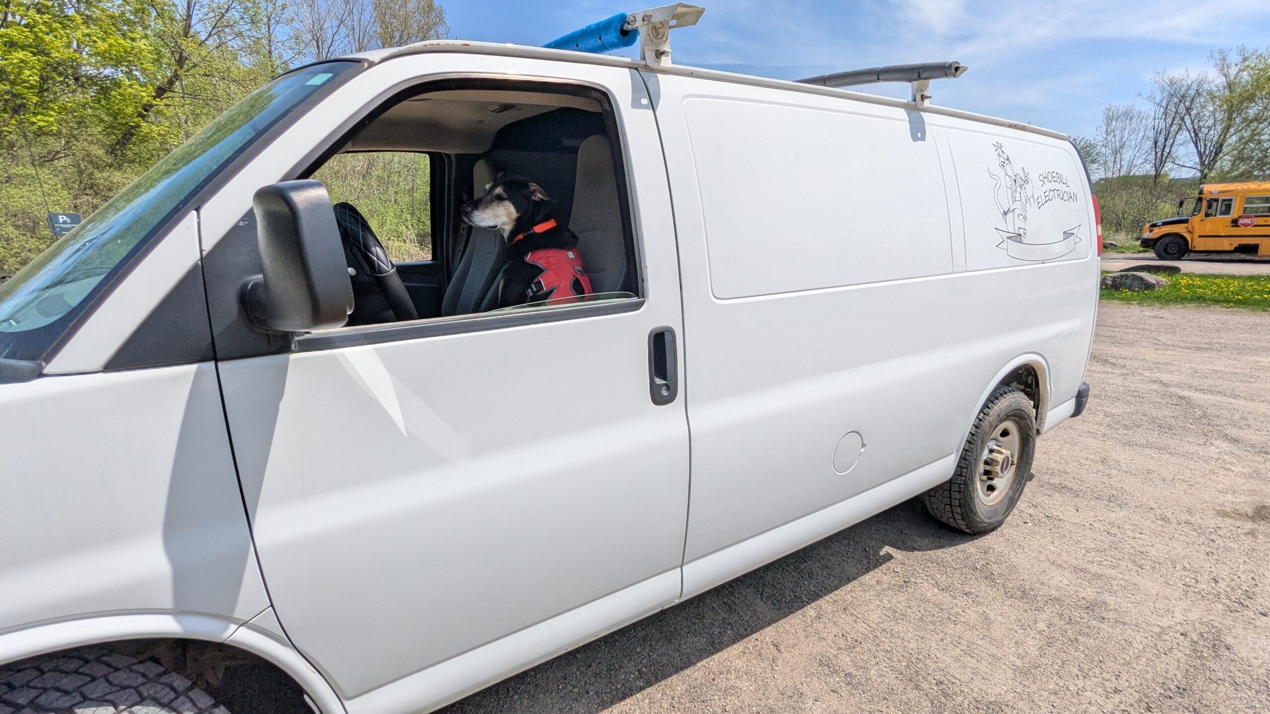 Toujours une place pour votre compagnon !